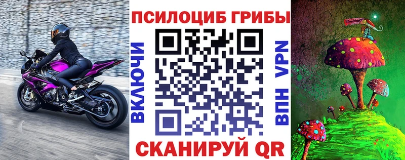 Псилоцибиновые грибы мицелий  Руза 